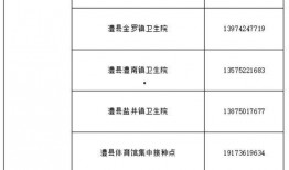 冠军套最新爆料图片及价格,惊艳设计与亲民价格，引领潮流新风尚！